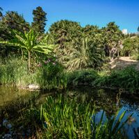 Das Arboretum in Arco