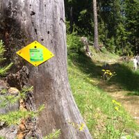 Wegweiser auf dem Gommer Höhenweg