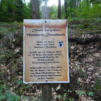 Tafel zu Deutschlands größtem Maibaum