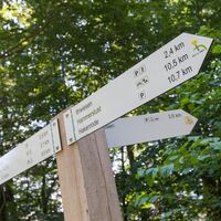 Rothesteinhöhle Fledermäuse.jpg
