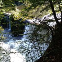 wildromantisch durch das Zschopautal