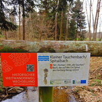 Kirchschlag i. d. Buckl. Welt - Tauchen