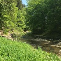 Papst-Franziskus Pilgerweg, Oststeiermark