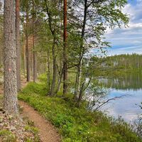 Pfad am Ufer von Keltasilmä