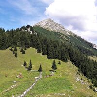 Der Große Pyhrgas vom Hofalmsattel (Blick Richtung Osten)