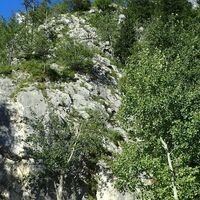 Beginn Einstieg Naturfreundesteig