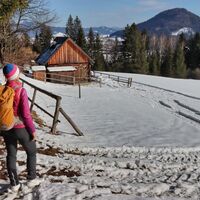 Ausblick am Weg