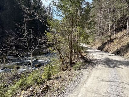 Foto von Similaun entlang der Tour