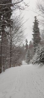 Foto von Sylwiasuchy76 entlang der Tour