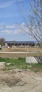 Fotografija s spletne strani Dodo Gomky na poti