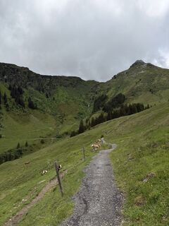 Foto von Tobias Kletecka entlang der Tour