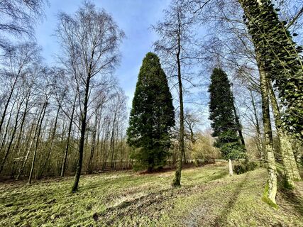 Fotografia z Les aventures de Ghislain na trase