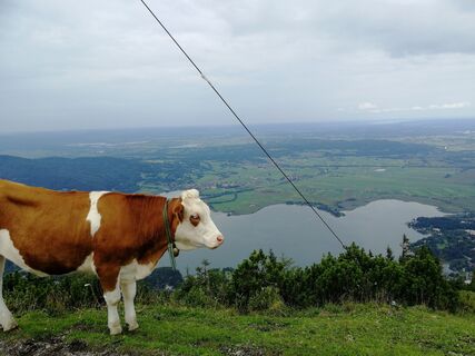 Jochberg Gipfel