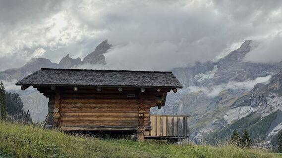 Fotografija s spletne strani Rodrigo Martino na poti