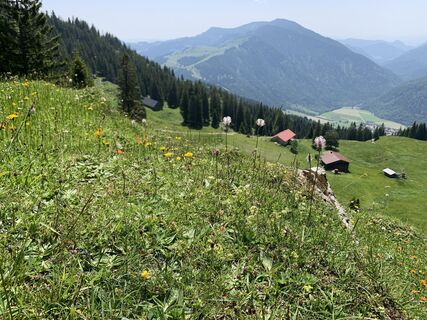 Foto von Wilhelm Böning entlang der Tour
