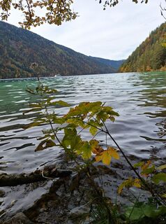 Foto von Dagmar Hofer entlang der Tour