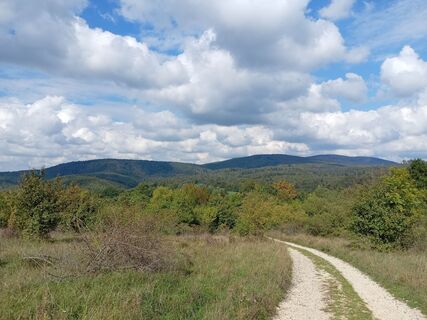 Photo de Szilvia Gődér le long du parcours