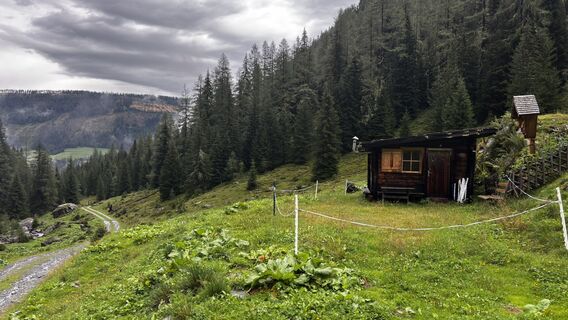 Fotografia z sagal na trase
