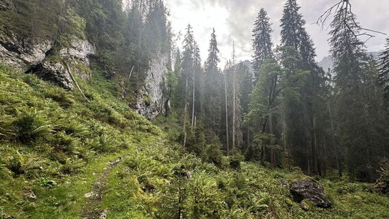 Foto von Henrik Singelmann entlang der Tour