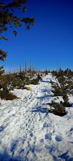 Fotografija s spletne strani ReginaSt na poti