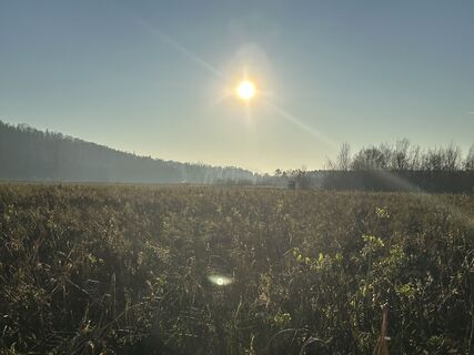 Fotografie z Babs Holz na trase
