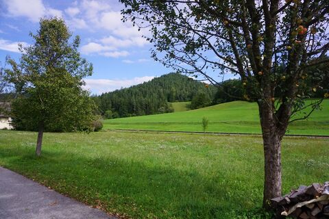 Foto de Walter Köllner a lo largo del recorrido