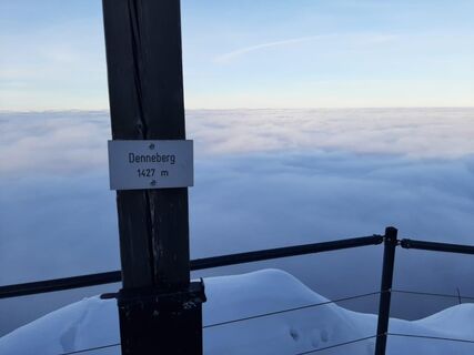 Denneberg über den Wolken