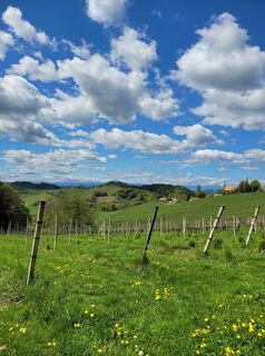 Fotografia z Juliane Jarke na trase