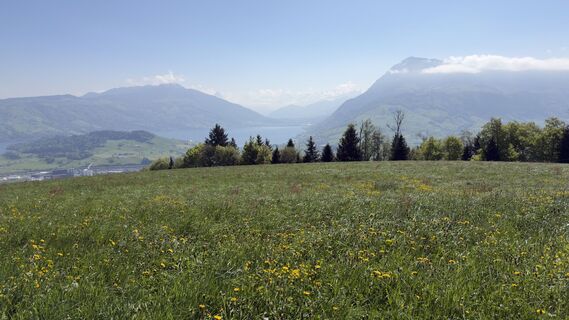 Zdjęcie z Peter Burki wzdłuż trasy