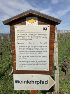 image00026