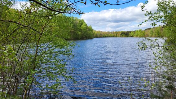Tunxdorfer Waldsee, Papenburg