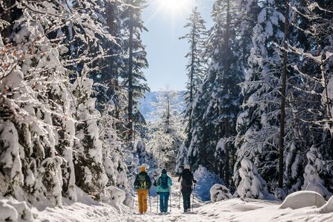 Scheffau_Winterwandern_Wald_verschneit_Wilder Kaiser