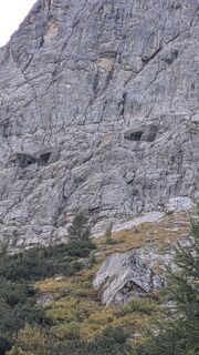 Fotografija s spletne strani Goodyear na poti