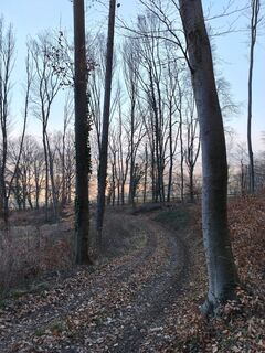 Foto de Poschacher a lo largo del recorrido