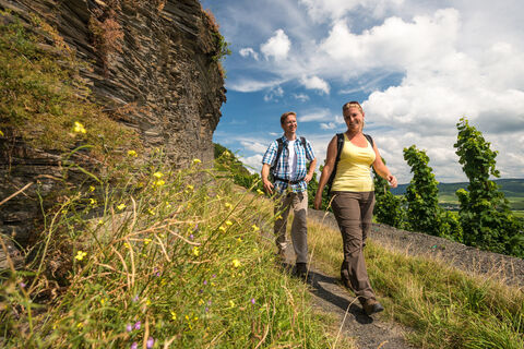Schieferfelsen entlang des Weges auf dem Brauneberg unterhalb des Kammerfelsens