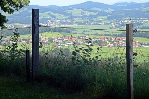 Buchberg...