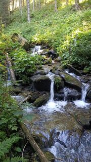 Fotografia z Bergpirat na trase