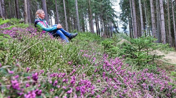 Die Erikablüte im Frühling ladet zum Fotografieren ein