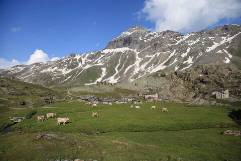 Alpe Prabello