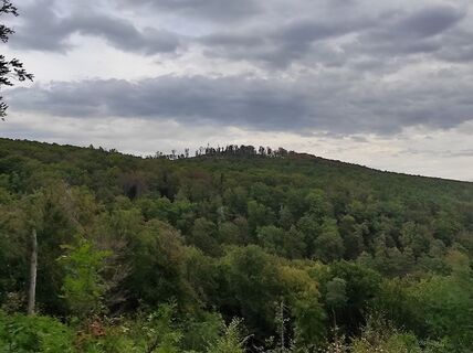 Foto von Làszló Visi entlang der Tour