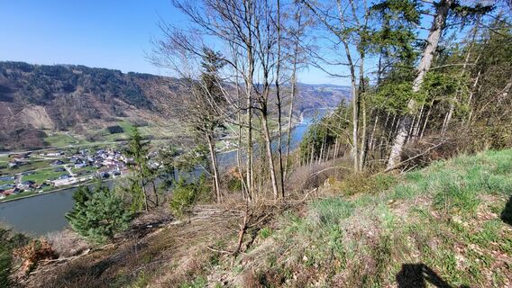 Foto från Thomas Sikora under resans gång