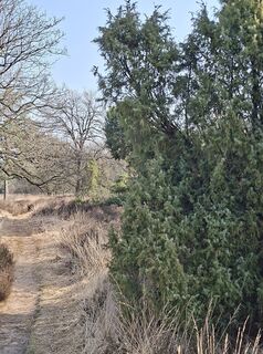 Photo de Yolanda de le long du parcours