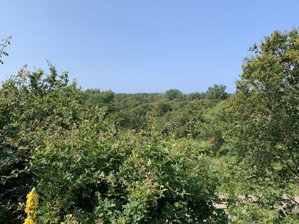 Fotografija s spletne strani Koen De Wit na poti