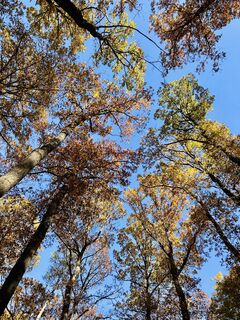 Fotografia z Kellner Heidi na trase