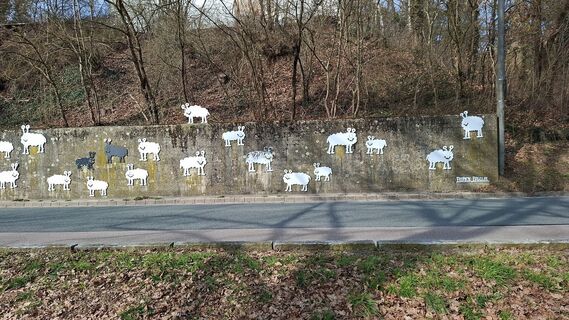 Fotografia z Friedrich Karl Gropengiesser na trase