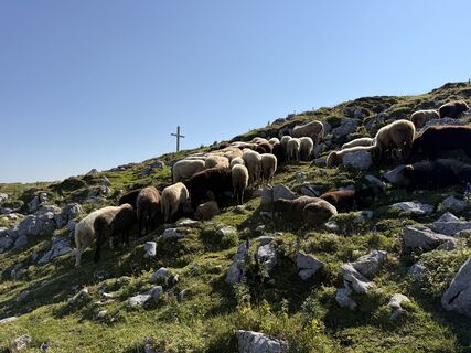 Fotografija s spletne strani Natur_erleben_dg na poti