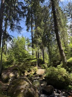 Foto von Andreas Hanek entlang der Tour