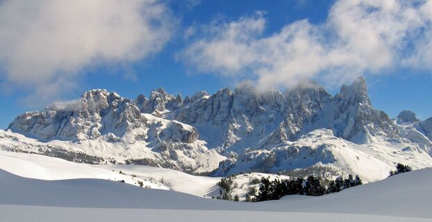 Aussicht auf die Pale di San Martino