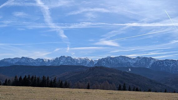 Photo de Ziegler Em1304 le long du parcours