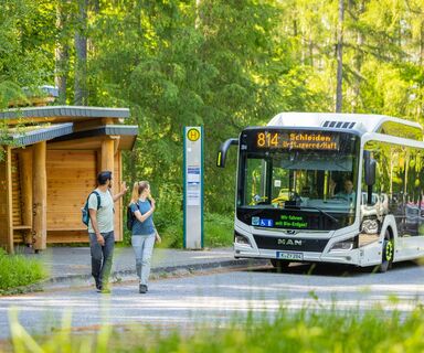 Mit dem Bus in den Nationalpark Eifel